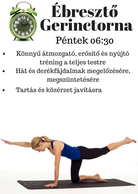 Gerinctorna